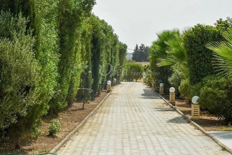 Beautiful Charming House Sanhaja, Manouba In La Marsa, Tunis, Tunisia