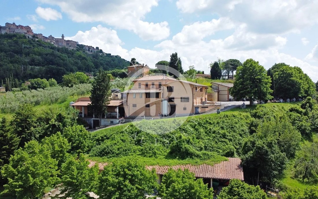 Villa in Montepulciano, Tuscany, Italy 3 - 12910970