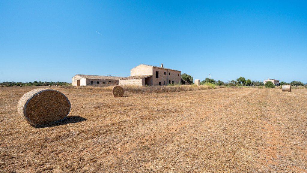 Farm Ranch in Campos, Balearic Islands, Spain 2 - 13057555