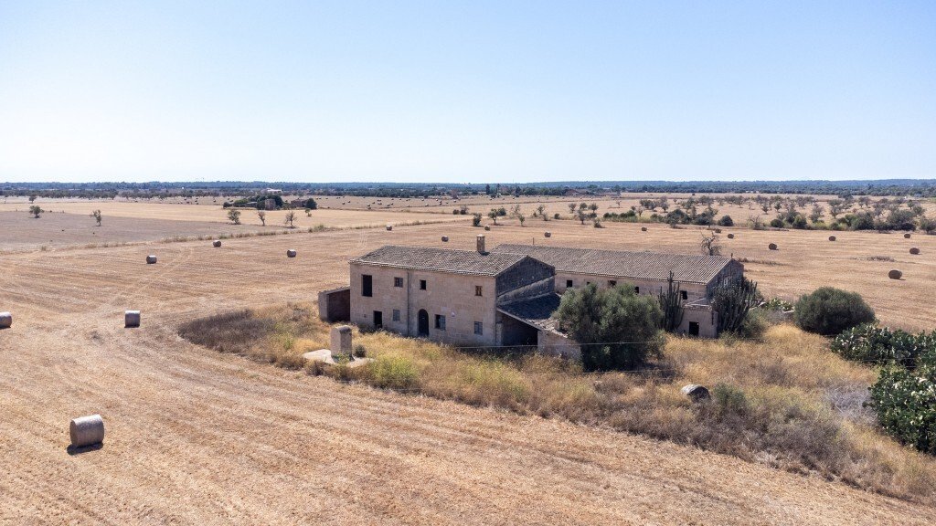 Farm Ranch in Campos, Balearic Islands, Spain 1 - 13057555
