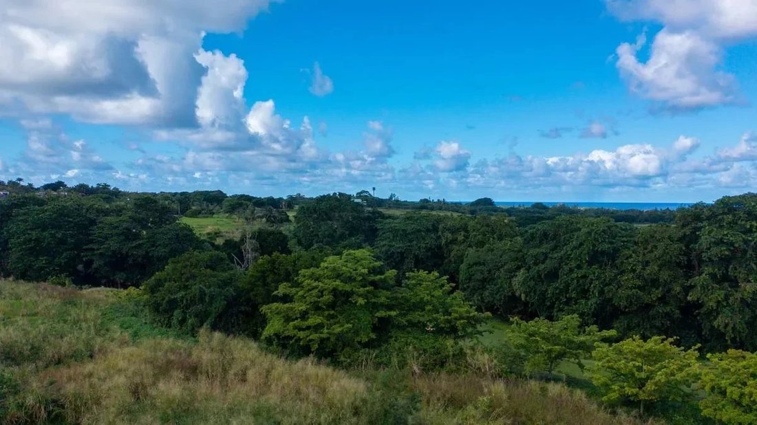 Bel Ombre Land With Sea View Of In Bel Ombre, Savanne District, Mauritius For Sale (12619346)
