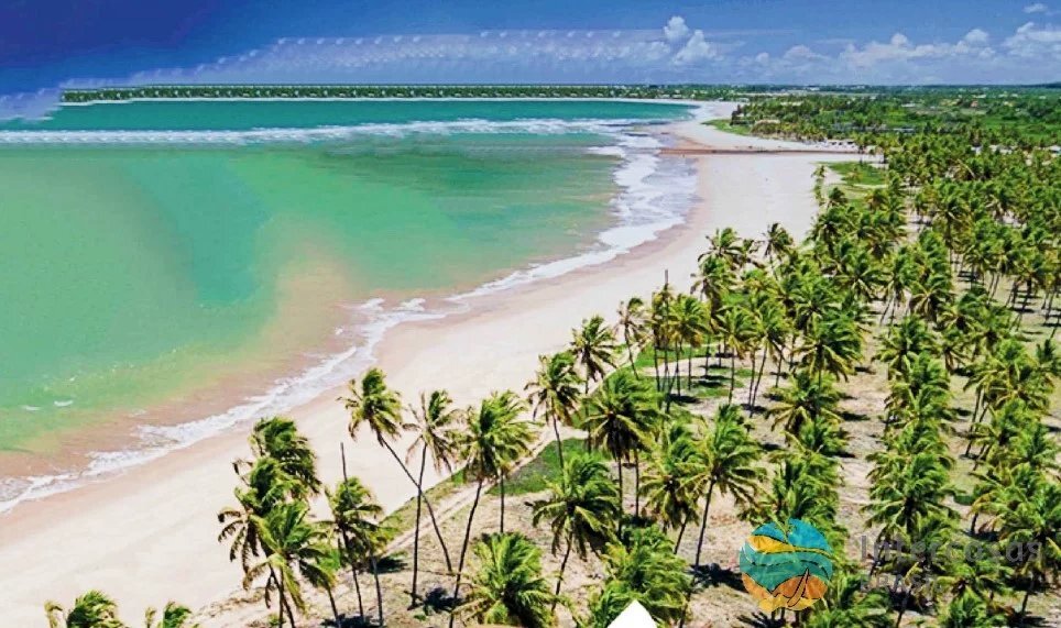 Land in Praia do Forte, State of Bahia, Brazil 5 - 12344849