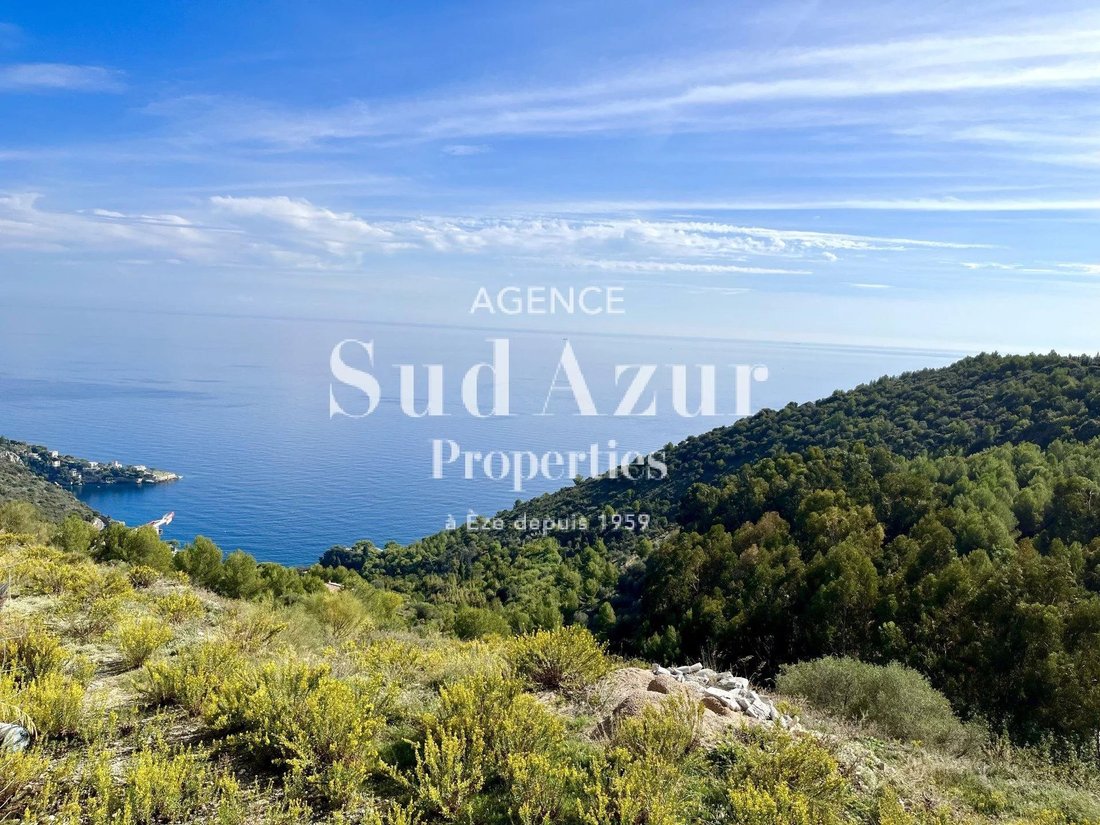 Land in Èze, Provence-Alpes-Côte d'Azur, France 2 - 12324730
