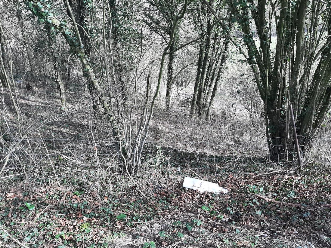 Land in Oncourt, Thaon-les-Vosges, France 1 - 13050273