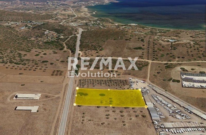 Agricultural 6949 Sq.M For In Decentralized Administration Of Attica
