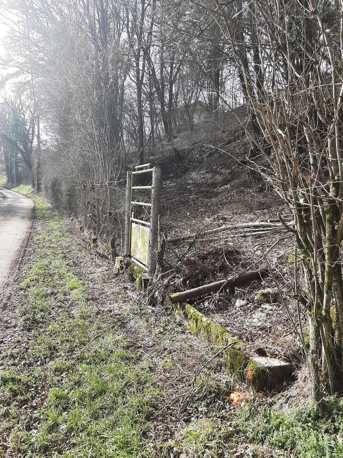 Land in Oncourt, Thaon-les-Vosges, France 4 - 13050273
