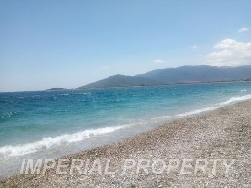 Land in Paralio Astros Community, Peloponnese, Western Greece and the Ionian, Greece 3 - 13069281