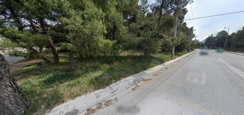 Land in Dionysos, Attica, Greece 2 - 13069319