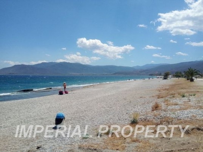 Land in Paralio Astros Community, Peloponnese, Western Greece and the Ionian, Greece 1 - 13069281