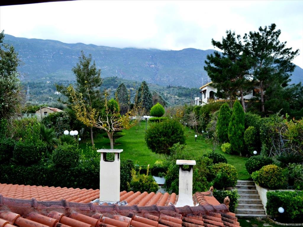 Detached House 180 Sqm In Eastern Peloponnese, Greece In Peloponnese