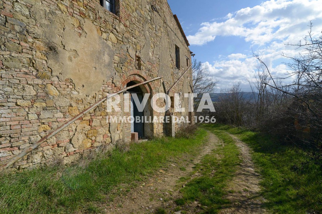 Land in Montalcino, Tuscany, Italy 4 - 13070779