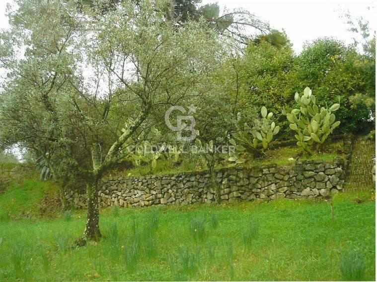 Land in Via Appia Sud - Pratolungo - Carbonara, Velletri, Lazio 1 - 13070445