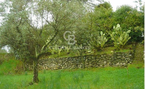 Terreno a Via Appia Sud - Pratolungo - Carbonara, Velletri, Lazio 1