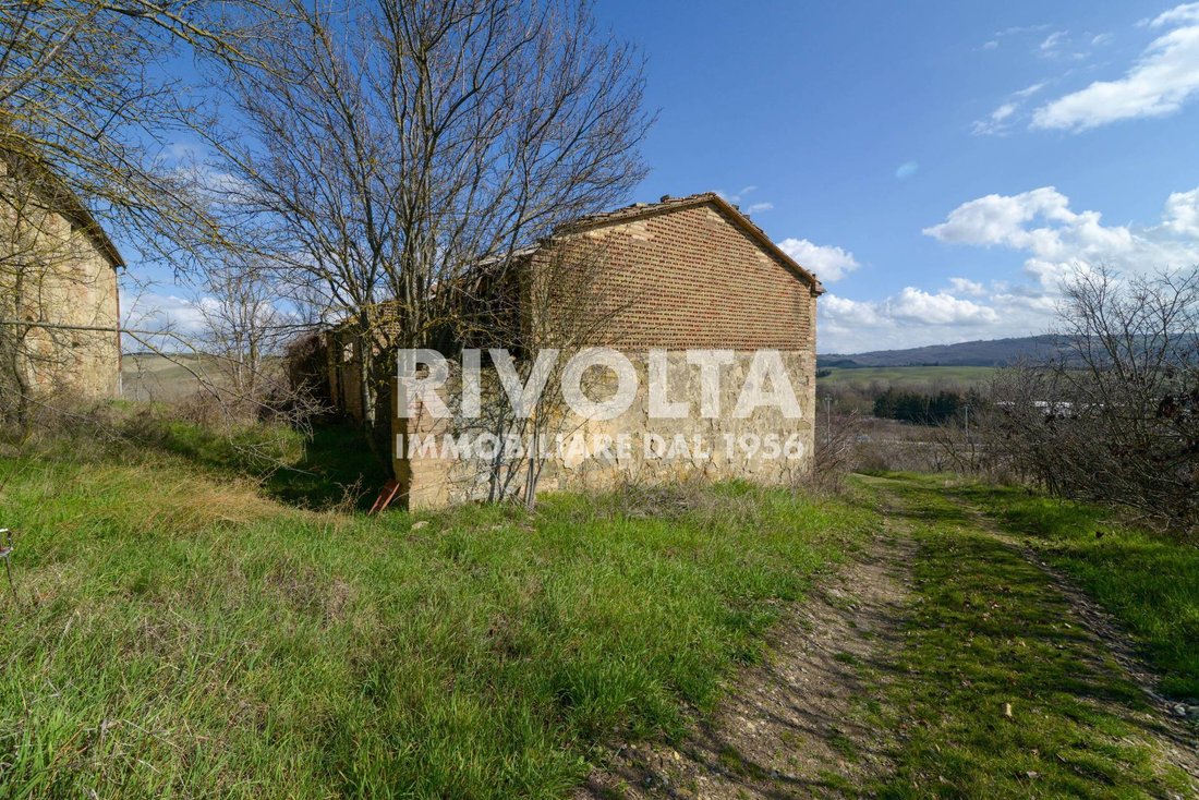 Land in Montalcino, Tuscany, Italy 5 - 13070779