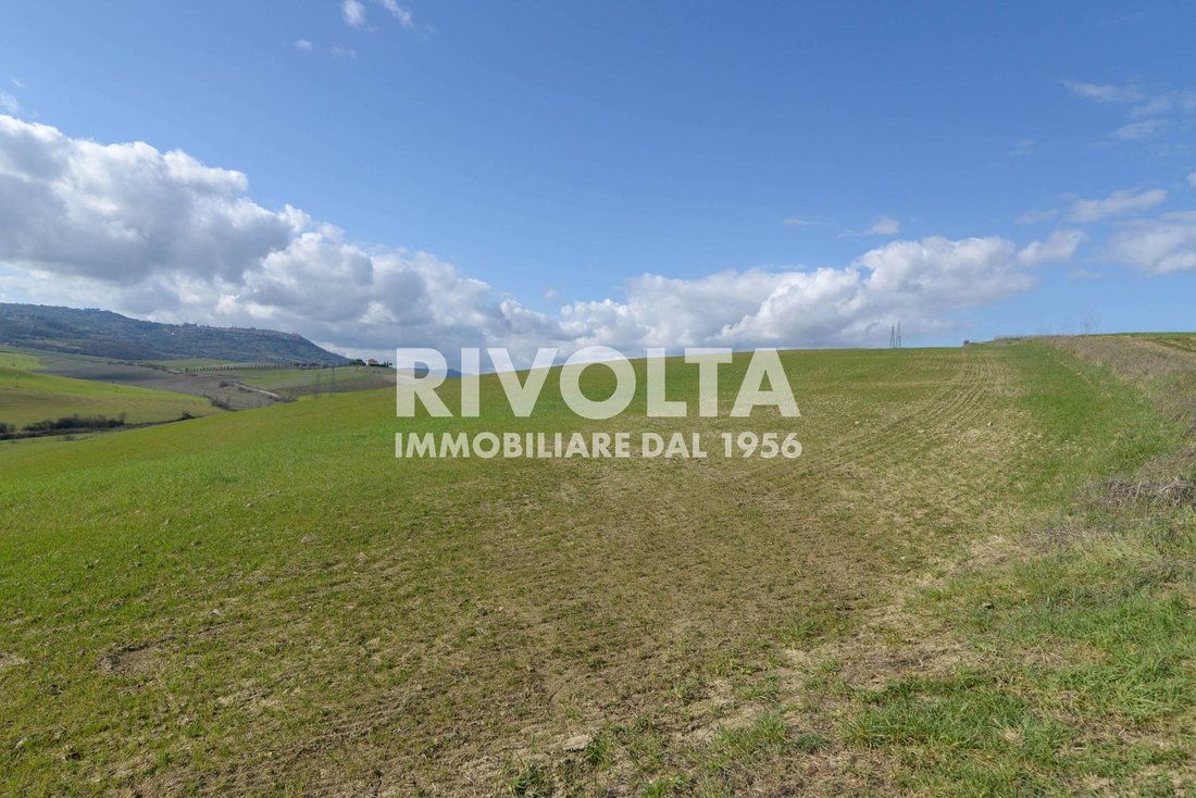 Land in Montalcino, Tuscany, Italy 3 - 13070779