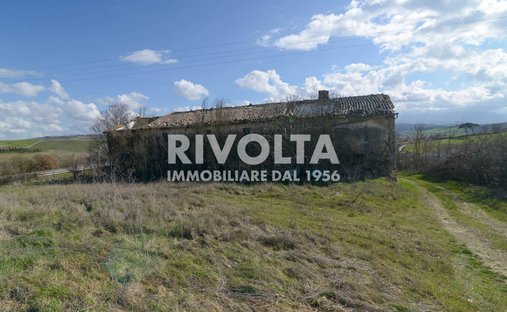 Land in Montalcino, Tuscany, Italy 1