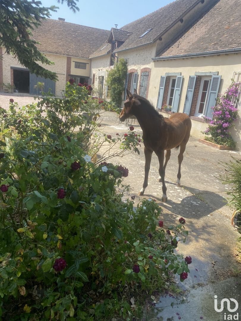 Vente Maison/Villa 6 Pièces In Chartres, Centre Val De Loire, France For Sale (13068485)