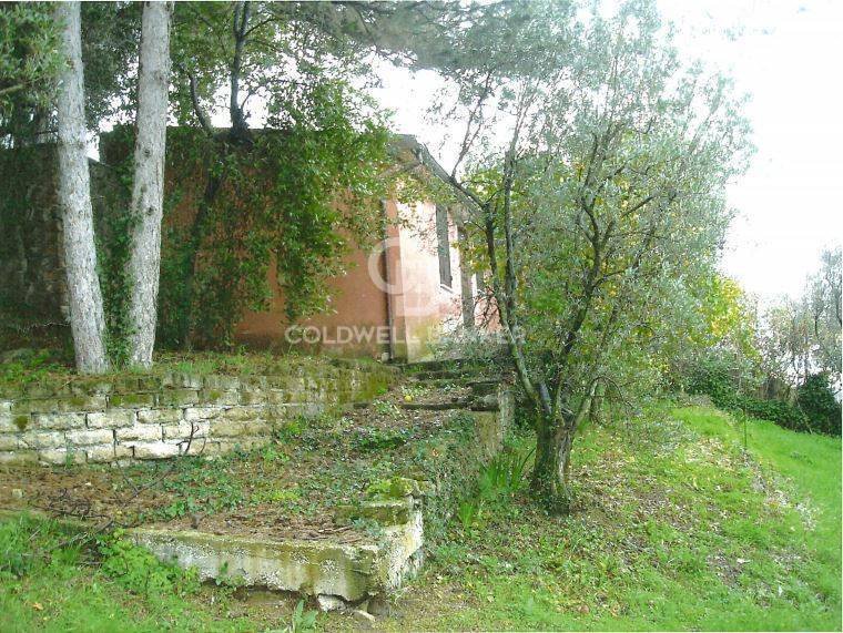 Land in Via Appia Sud - Pratolungo - Carbonara, Velletri, Lazio 2 - 13070445