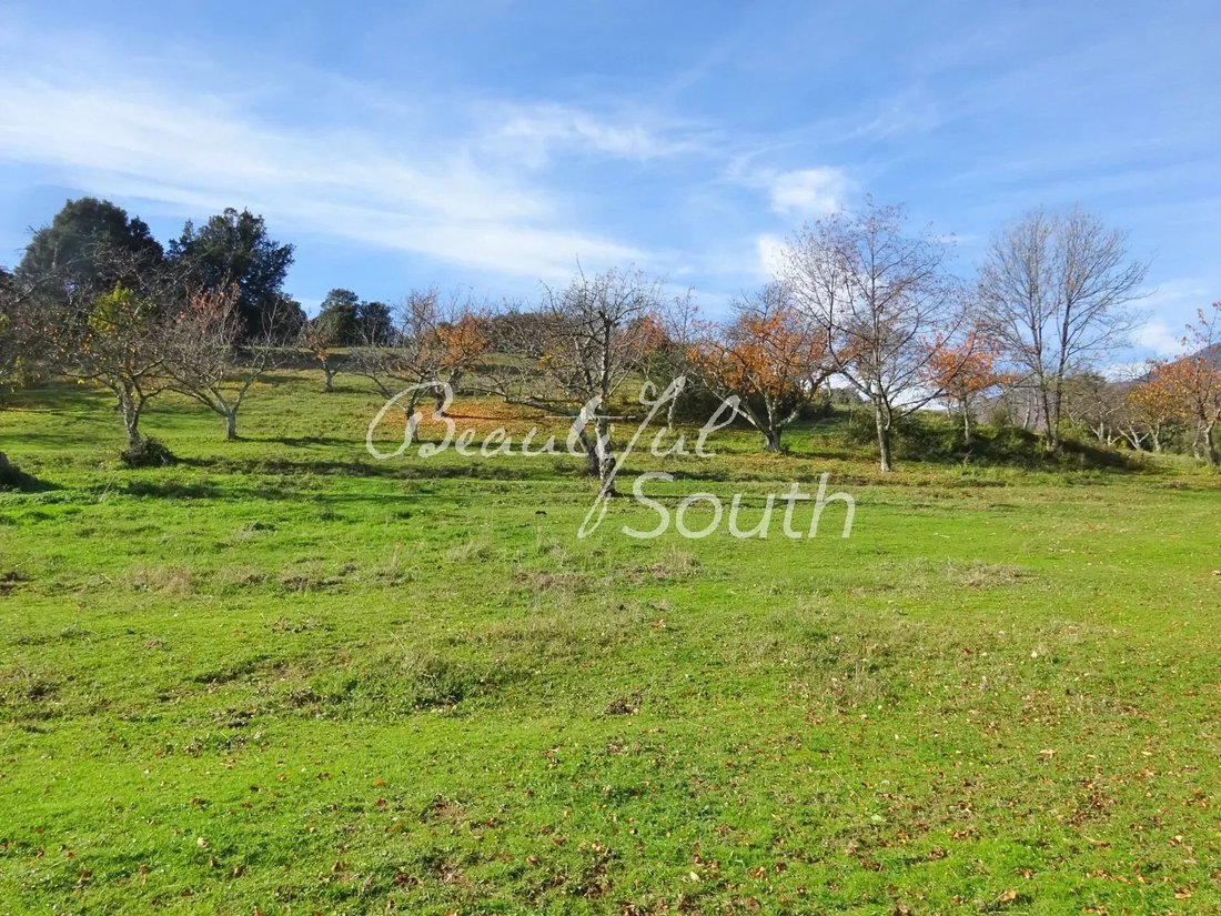 Country Farmhouse House Set On 160 Acres, Arles Sur In Arles, Occitanie, France For Sale (12413026)