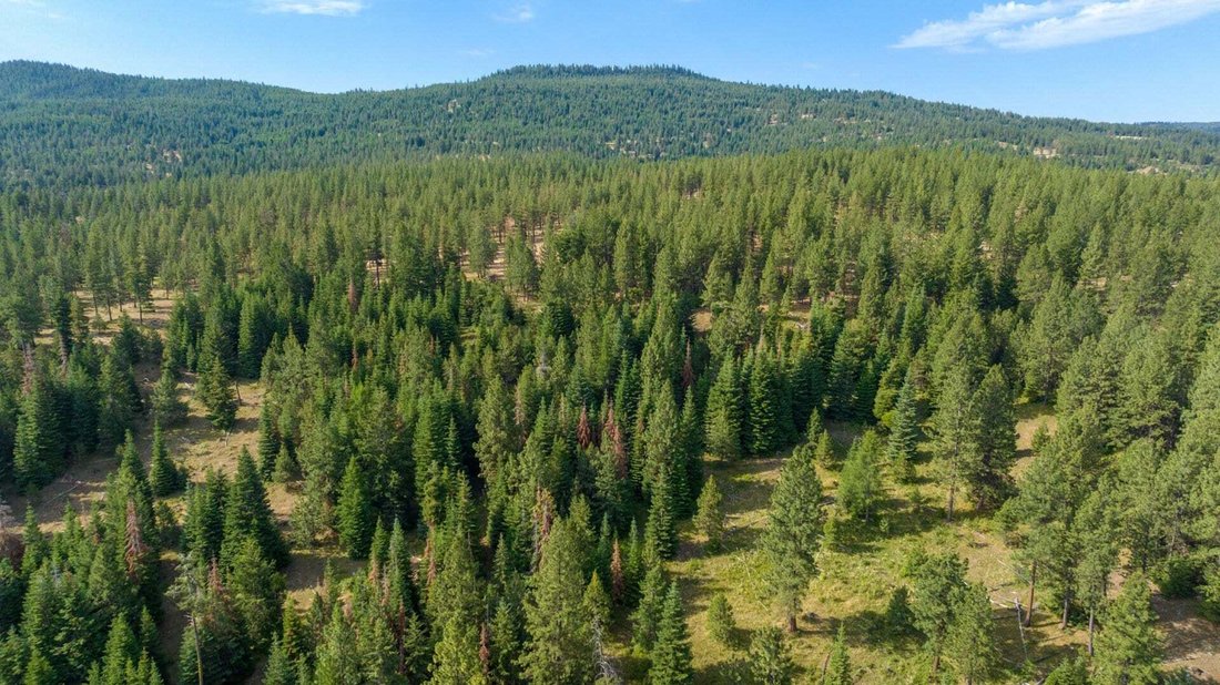 Wineland Lake Hunting & Timber Ranch In Fossil, Oregon, Stati Uniti In Vendita (13079877)