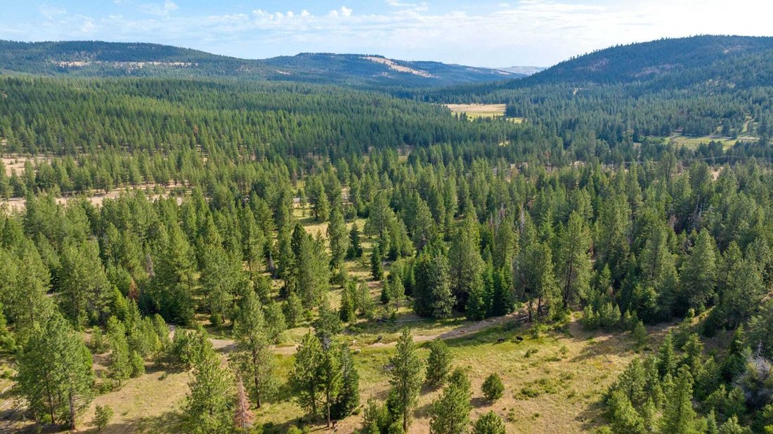 Wineland Lake Hunting & Timber Ranch In Fossil, Oregon, Stati Uniti In Vendita (13079877)