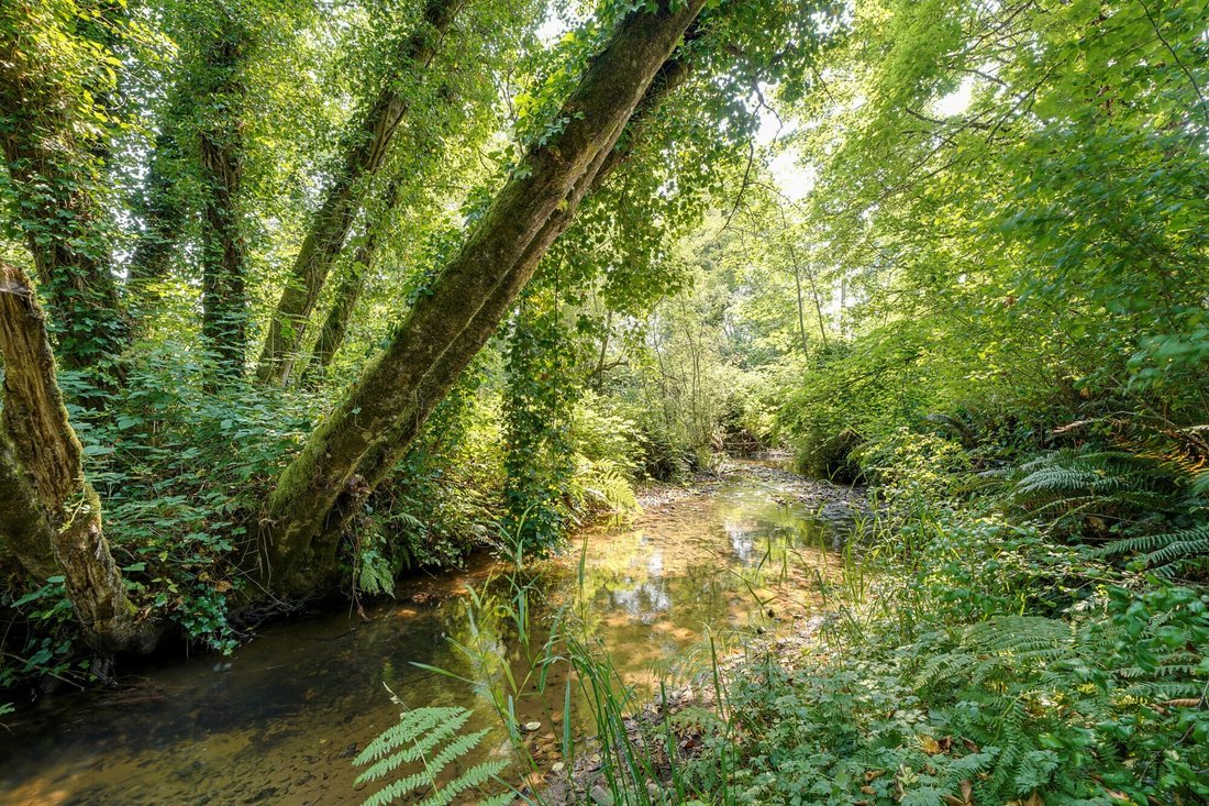 Single Family For Sale In Beaver In Beaver, Oregon, United States For