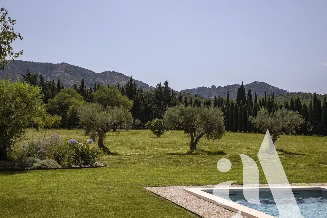 Co Sole Agent In Saint Rémy De Provence, Provence Alpes Côte D'azur