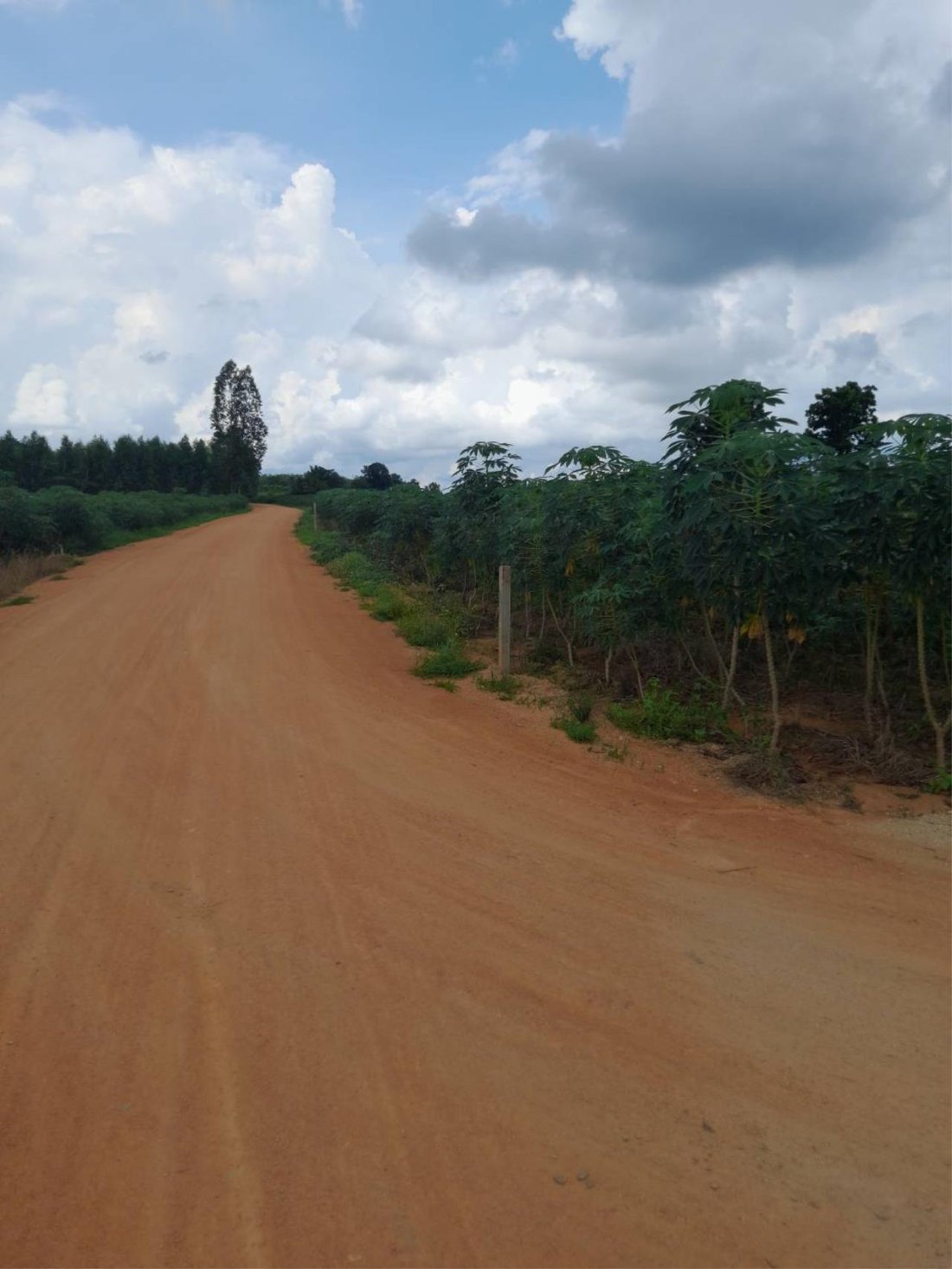 Land For Sale In Huai Yai, Bang Lamung, In Bang Lamung District, Thailand For Sale (13086552)