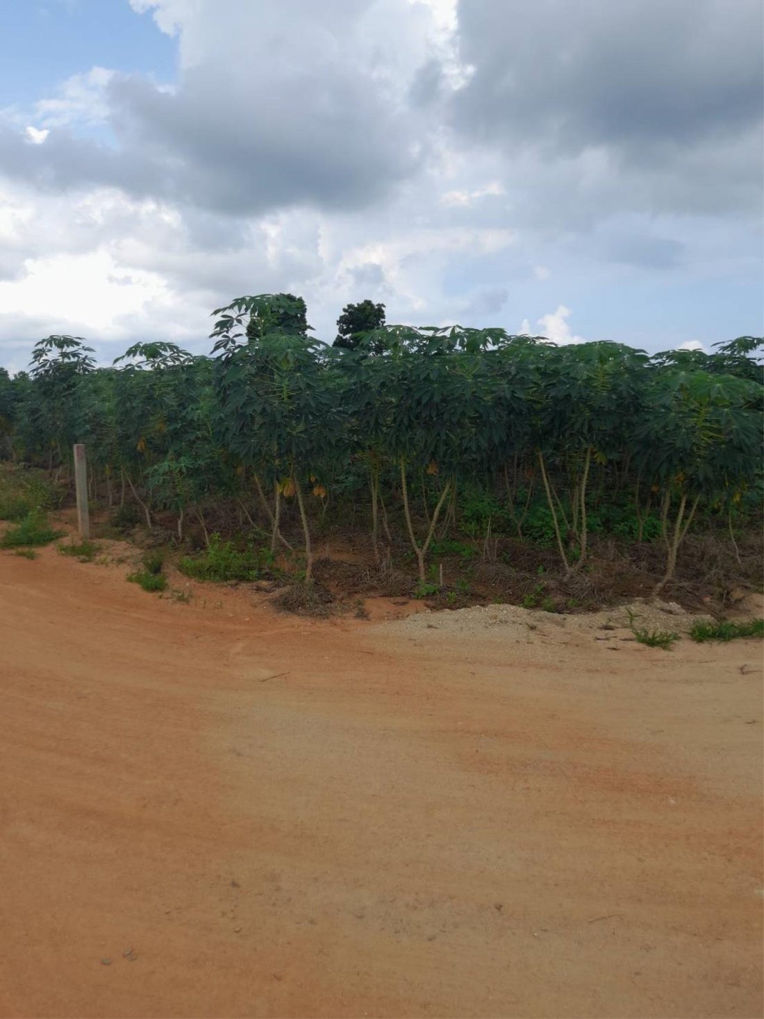 Land For Sale In Huai Yai, Bang Lamung, In Bang Lamung District, Thailand For Sale (13086552)