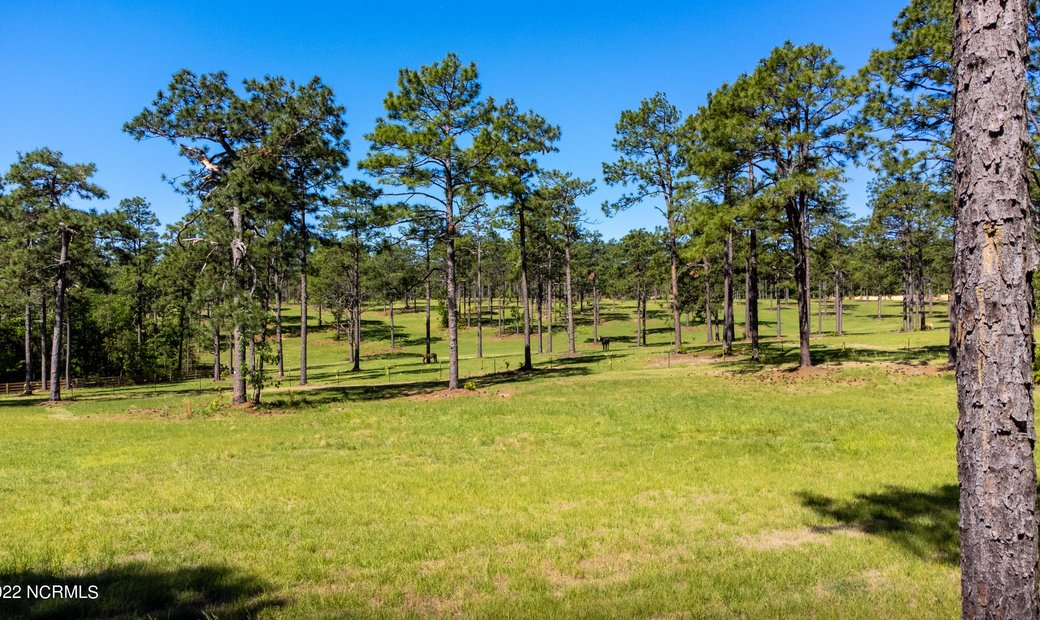 Vacant Land In Vass, North Carolina, United States For Sale (13087181)