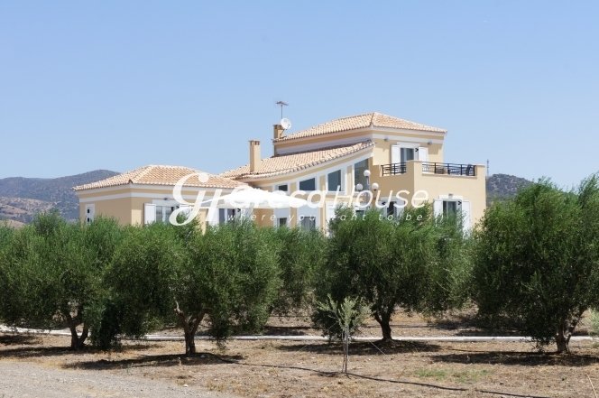 Villa in Ermioni, Peloponnese, Western Greece and the Ionian, Greece 3 - 13087662