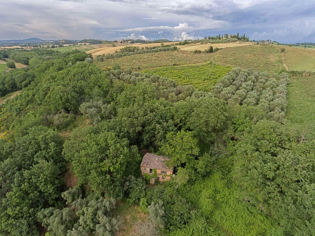 Country House in Pienza, Tuscany, Italy 1 - 13087806