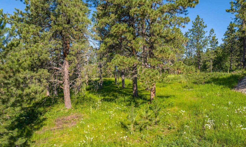 Lots And Land Lead In Lead, South Dakota, United States For Sale (13087905)