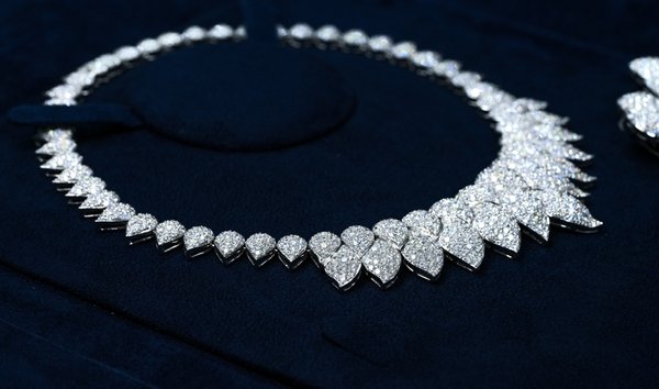 Diamond Necklace  (13089711)