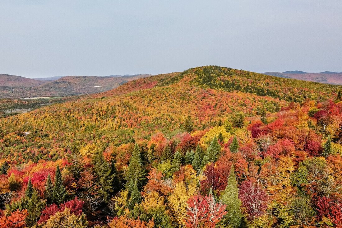 Stoneham Et Tewkesbury, Capitale In Stoneham Et Tewkesbury, Quebec