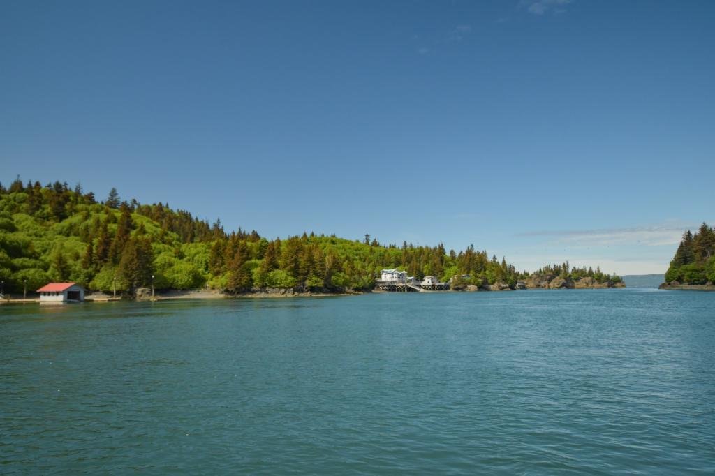 Single Family Detached Halibut Cove In Halibut Cove, Alaska, United