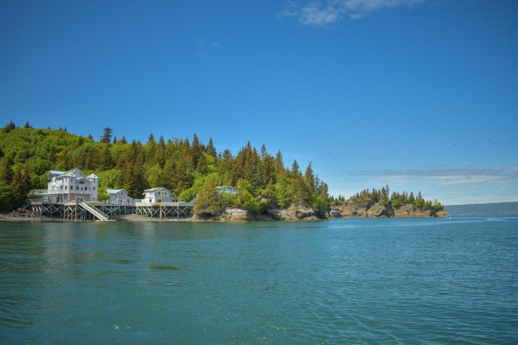 Single Family Detached Halibut Cove In Halibut Cove, Alaska, United States For Sale (13090753)