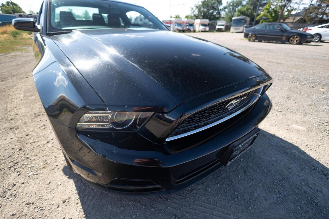 2014 Ford Mustang In Midvale, Ut, United States For Sale (13091415)
