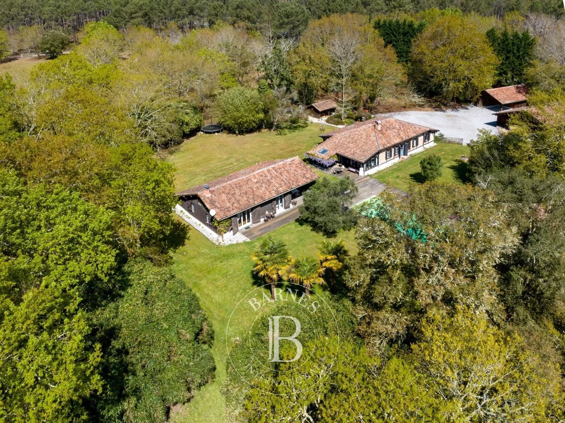 Leon, Magnificent Property Of 6 Hectares In Léon, Nouvelle Aquitaine