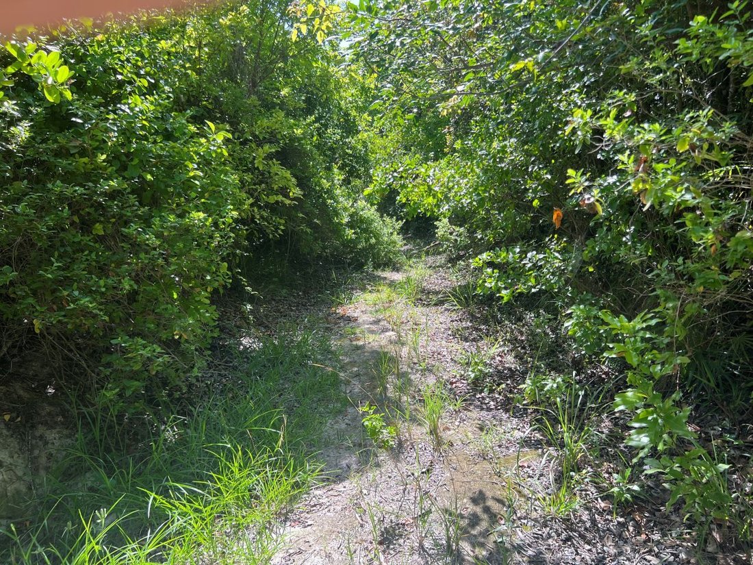 Land in Dunmore Town, Harbour Island, The Bahamas 3 - 13096967