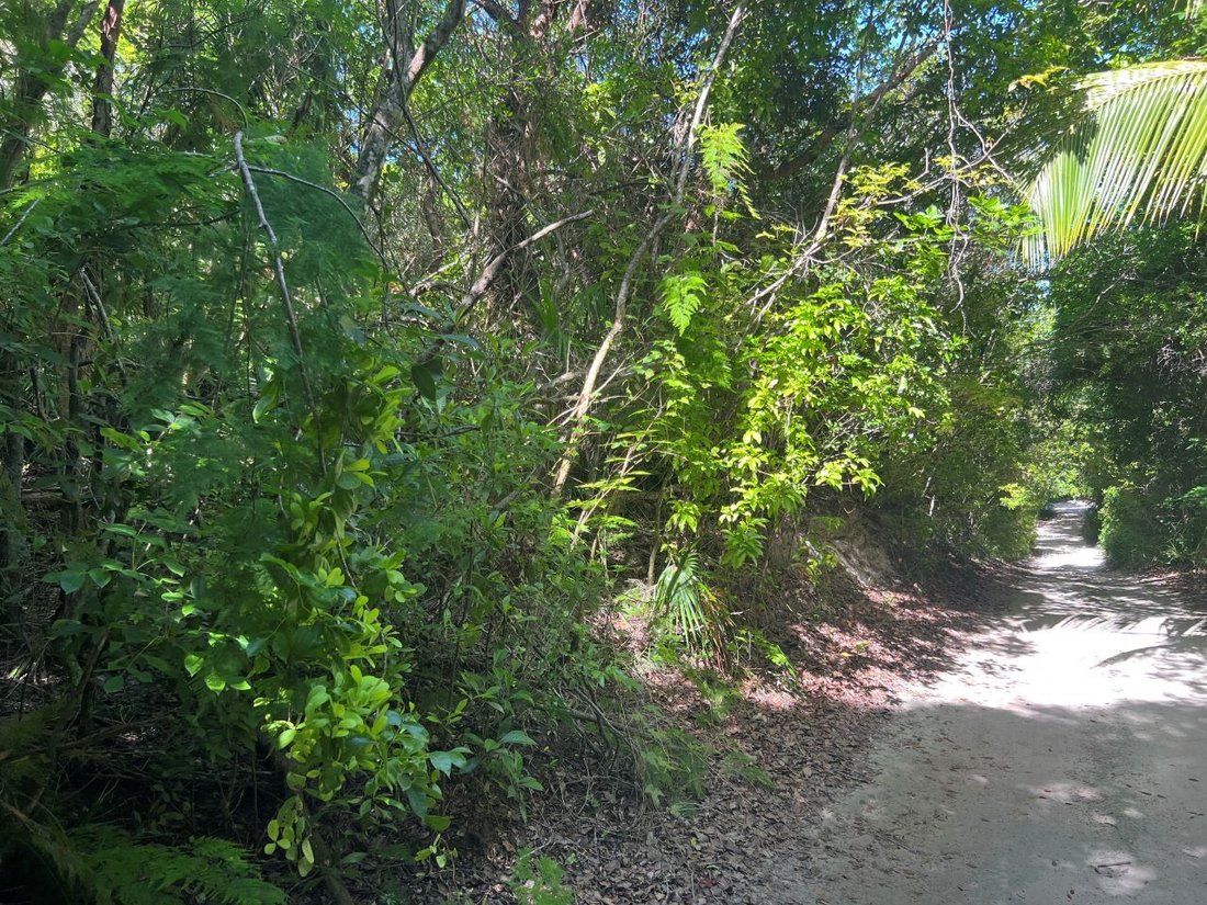 Land in Dunmore Town, Harbour Island, The Bahamas 2 - 13096967