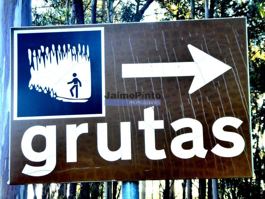 Land in Maceira, Leiria District, Portugal 5 - 13097512