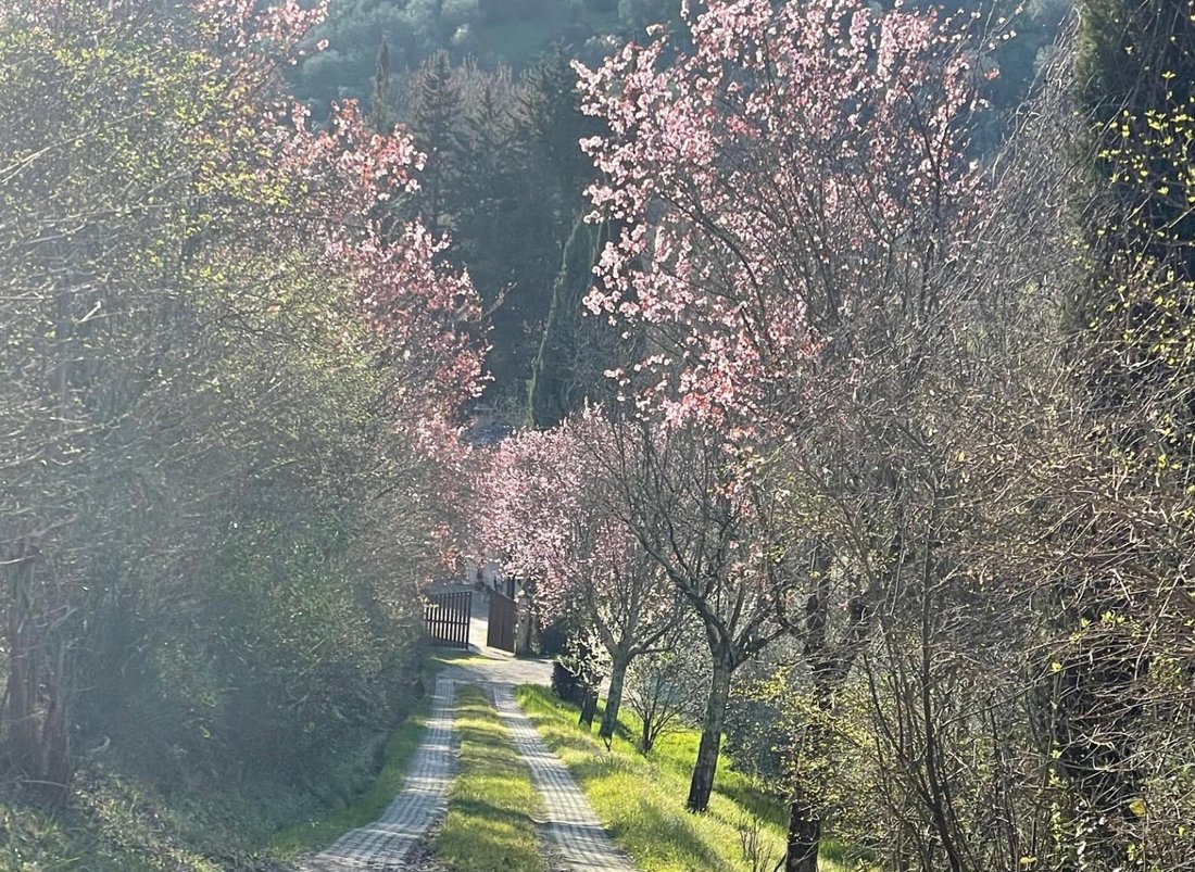 Center, San Casciano in Val di Pesa, Tuscany 1 - 13101531