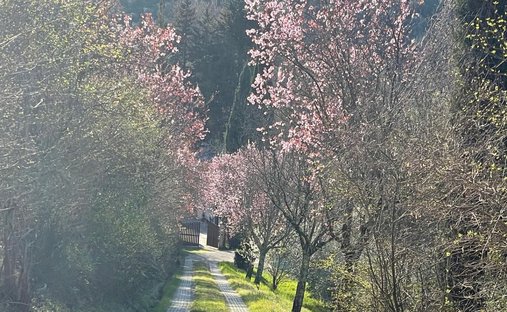 Centro, San Casciano en Val di Pesa, Toscana 1
