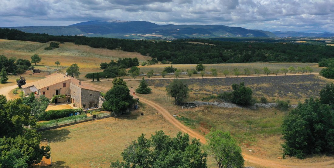 A Lavender-Clad Kingdom: 107 Hectares of Wild Provence Magic