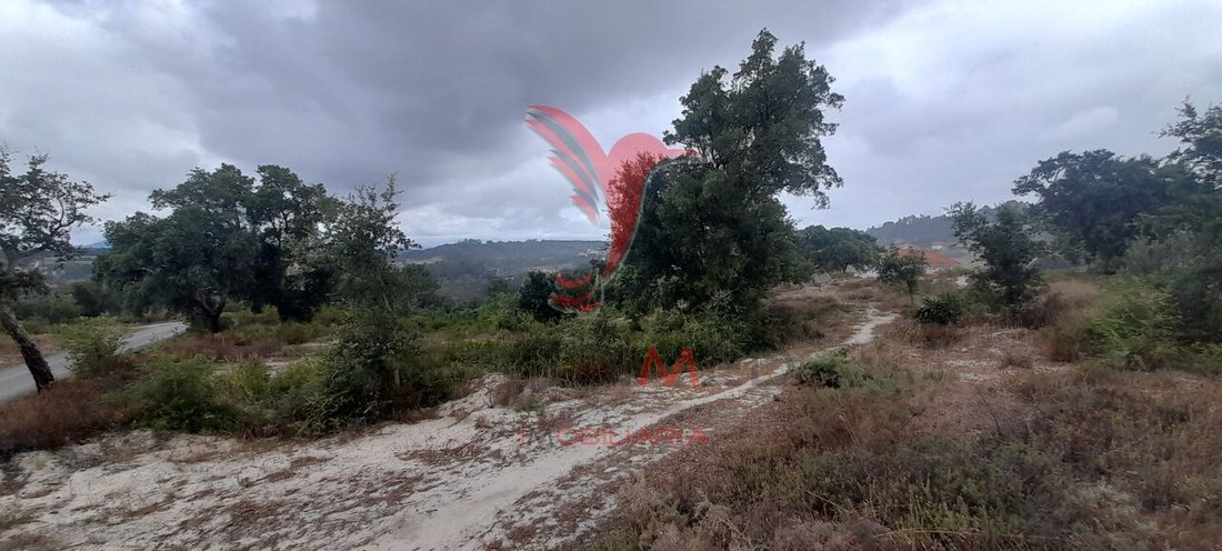 Land in Azambuja, Lissabon, Portugal 3 - 13101902
