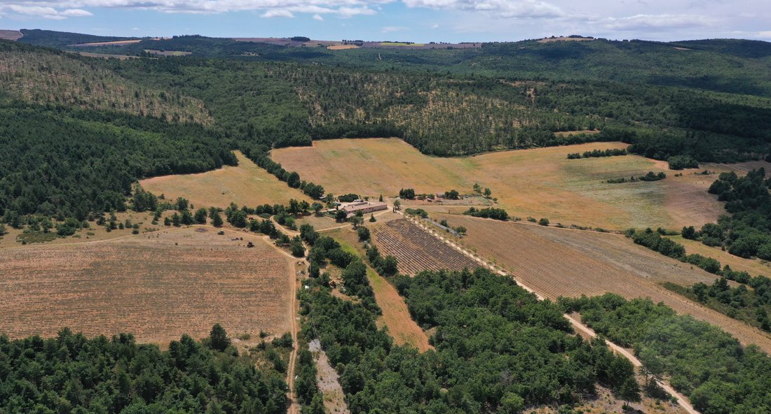 A Lavender-Clad Kingdom: 107 Hectares of Wild Provence Magic
