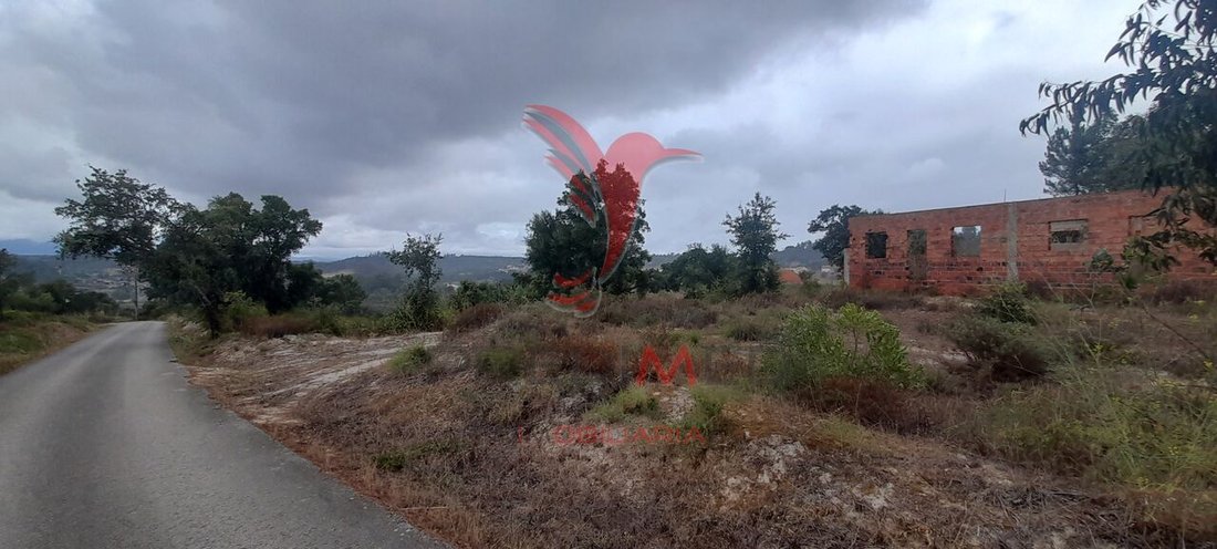 Land in Azambuja, Lissabon, Portugal 1 - 13101902