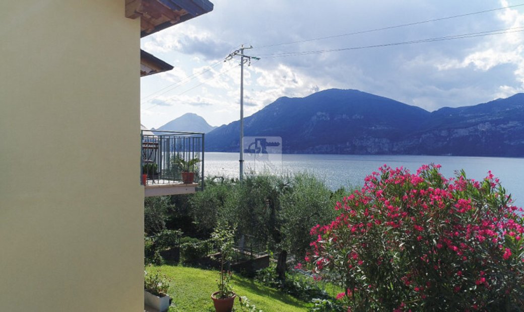 Trento Four Family House In Porto, Italy For Sale (13103156)