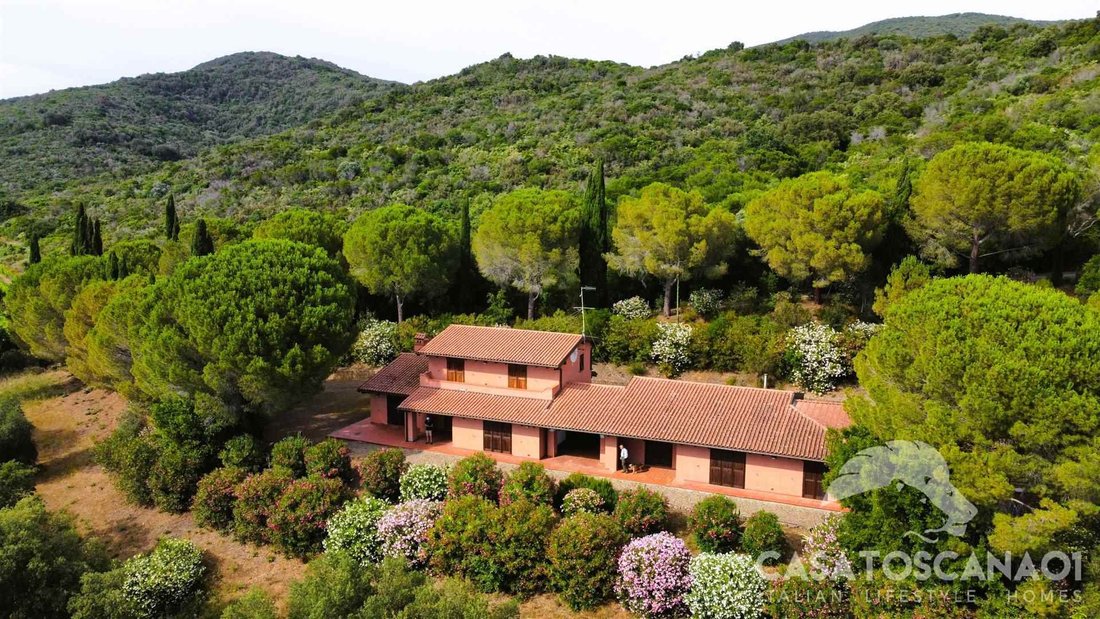 Farm Ranch in Castle of Castiglione, Castiglione della Pescaia, Tuscany 3 - 13104300